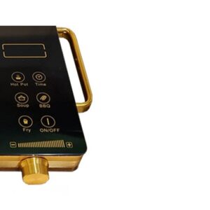 اجاق برقی دی اس تی مدل  T1-01